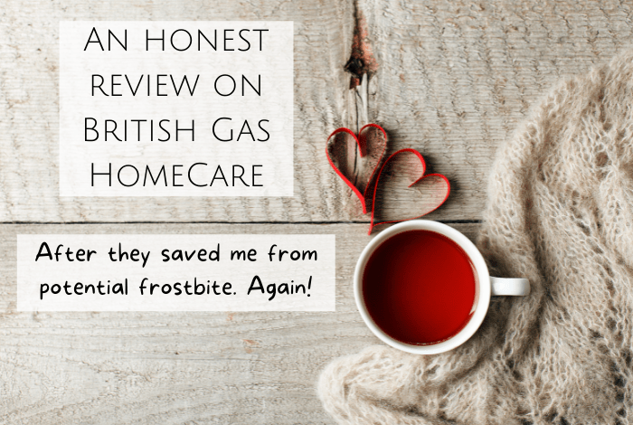 British Gas HomeCare Cover My Experience The Diary Of A Frugal 