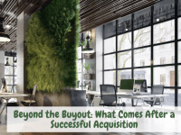 Beyond the Buyout What Comes After a Successful Acquisition