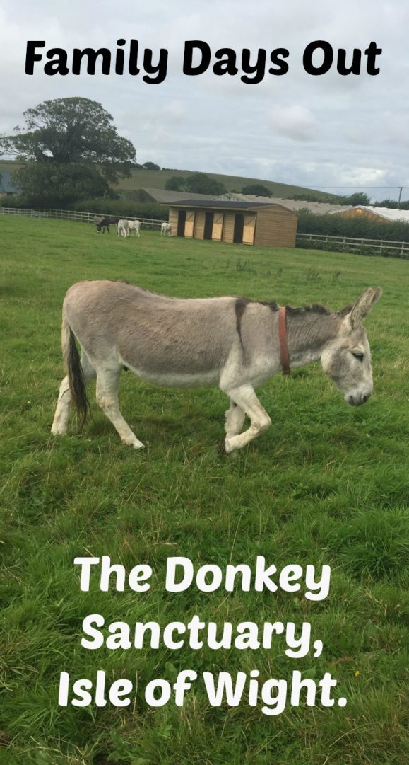 Family Days Out - The Donkey Sanctuary, Isle of Wight....  A great time for kids and grown ups and best of all it's completely free!