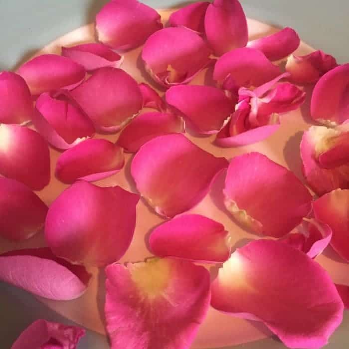 how-to-dry-rose-petals-the-diary-of-a-frugal-family